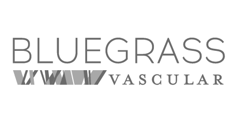 BVT_logo gray V2_500_250